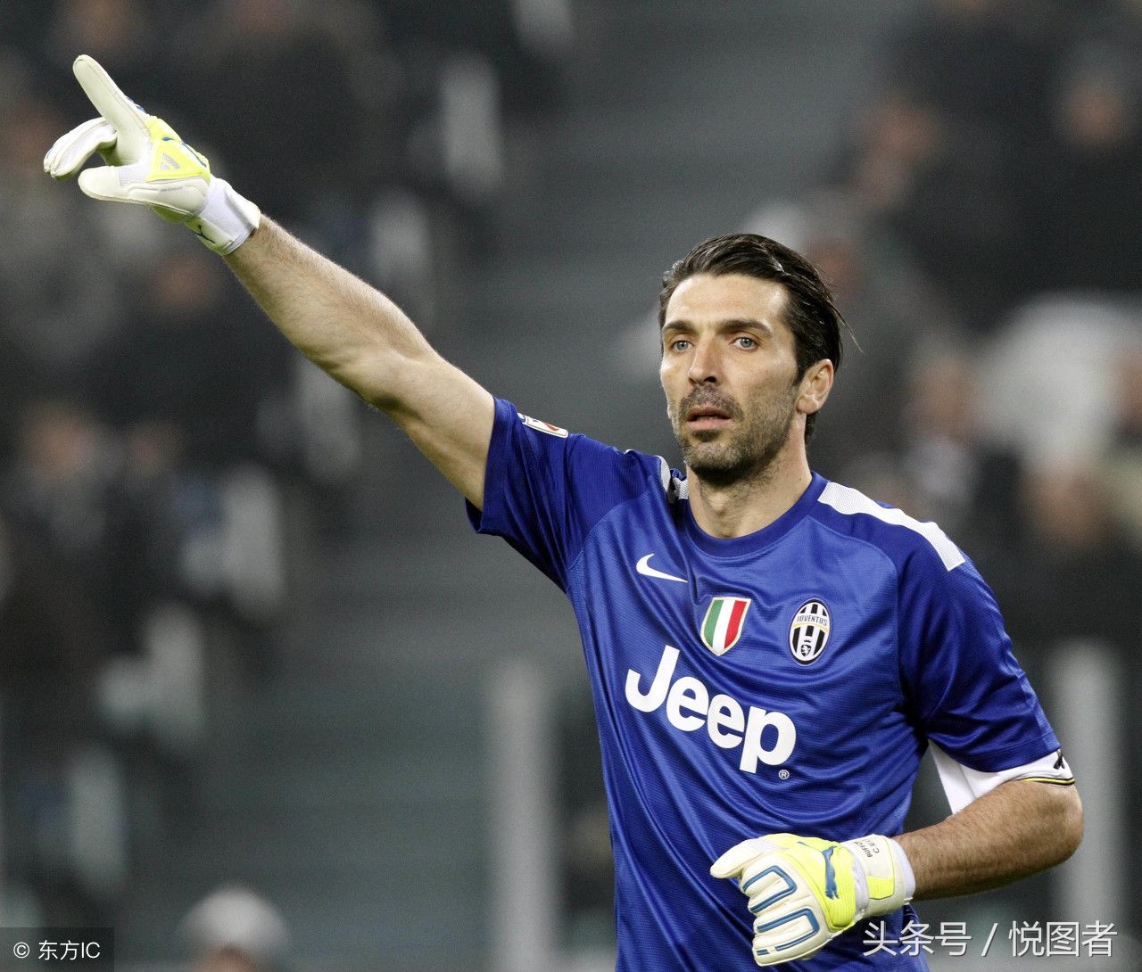 这些特质不 这些特质不